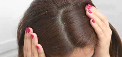 6 大香港頭髮護理產品推薦 2025